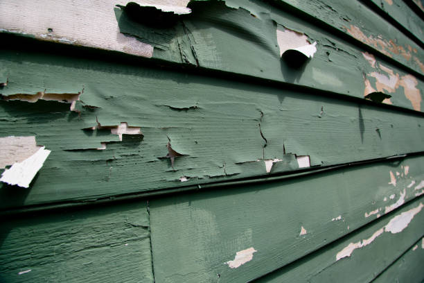  Coon Rapids, IA Junk Removal Pros
